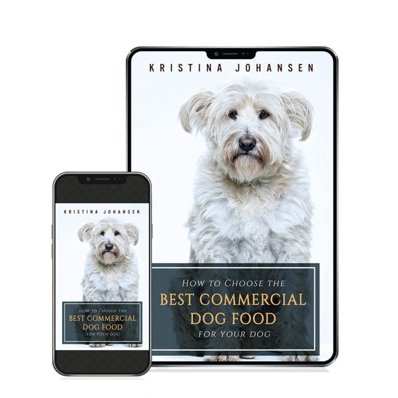 How to Choose the Best Dog Food